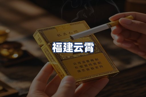 福建云霄